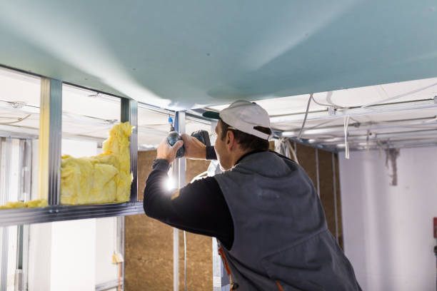Best Blown-in Insulation  in Brooksville, MS