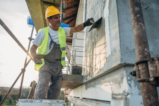Best Insulation Removal  in Brooksville, MS