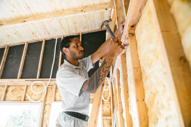 Best Insulation Inspection Services  in Brooksville, MS