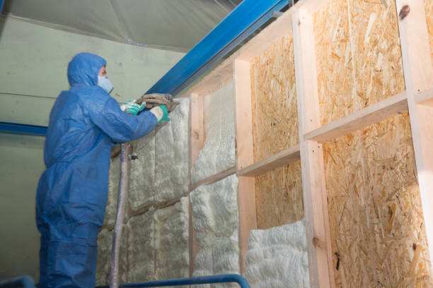 Best Insulation Contractor Near Me  in Brooksville, MS