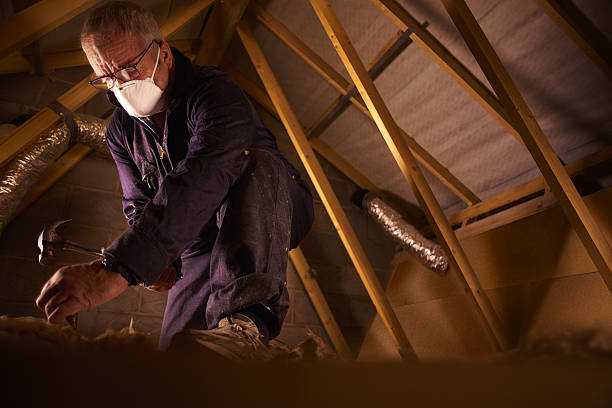 Best Energy-efficient Insulation  in Brooksville, MS